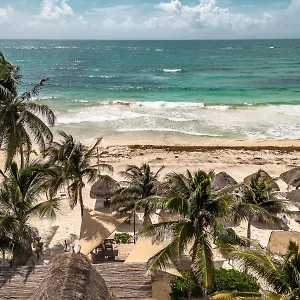 https://niken-beachfront-tulum-hotel.allrivieramayahotels.com